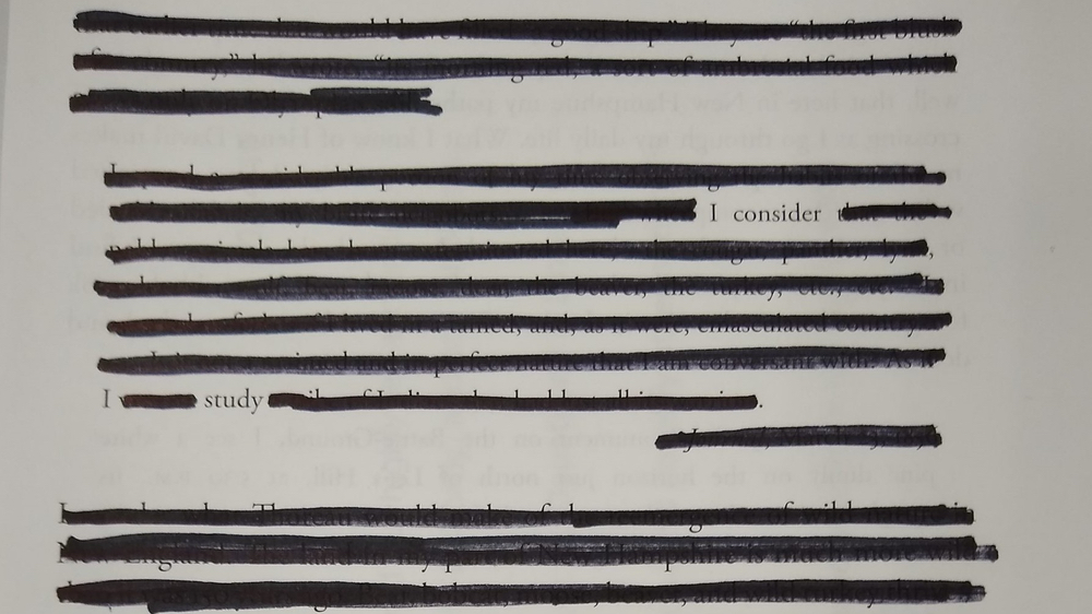 Blackout Poetry