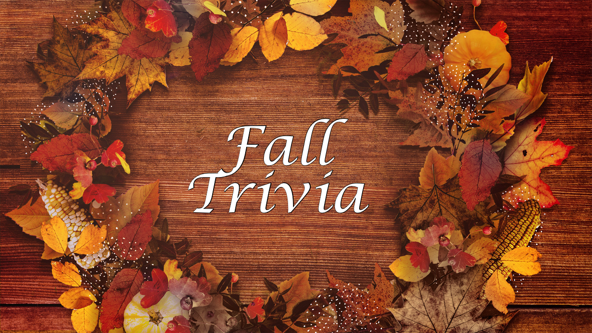 It’s Fall Ya’ll Trivia & Treats