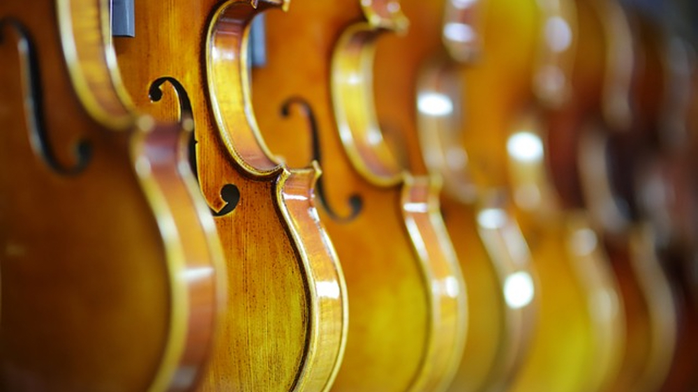 Musical Instrument Petting Zoo