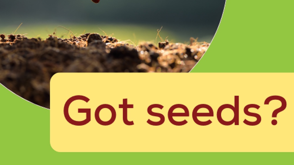 Help Start a Seed Library By Donating Your Seeds!